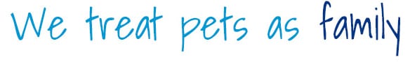 Treat-pets-family_18