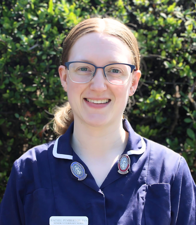 Rachel RNV senior veterinary nurse