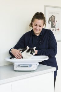 Rutland Veterinary Oakham practice Rutland Veterinary Oakham practice