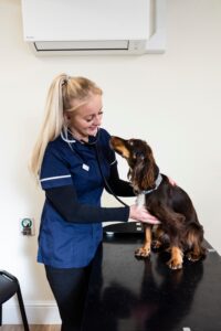 kings nurse