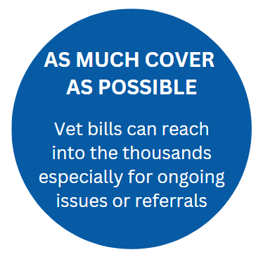 Cover insurance offers as much cover as possible