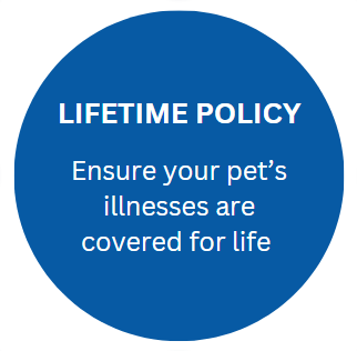 lifetimeR lifetime policy for pet insurance