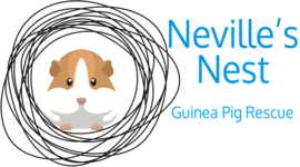 Nevilles-Nest-Store Nevilles nest store logo