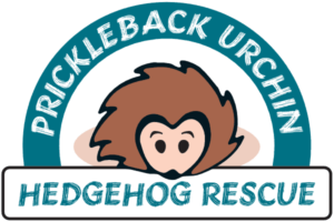 Prickleback-Urchin-logo-web prickleback urchin hedgehog rescue logo