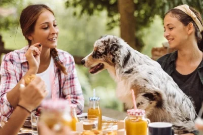 be careful of giving dogs every food as there may be Xylitol in it which can be very dangerous