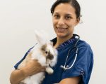 Rutland & Kings Vets rabbit microchipping from our experienced team