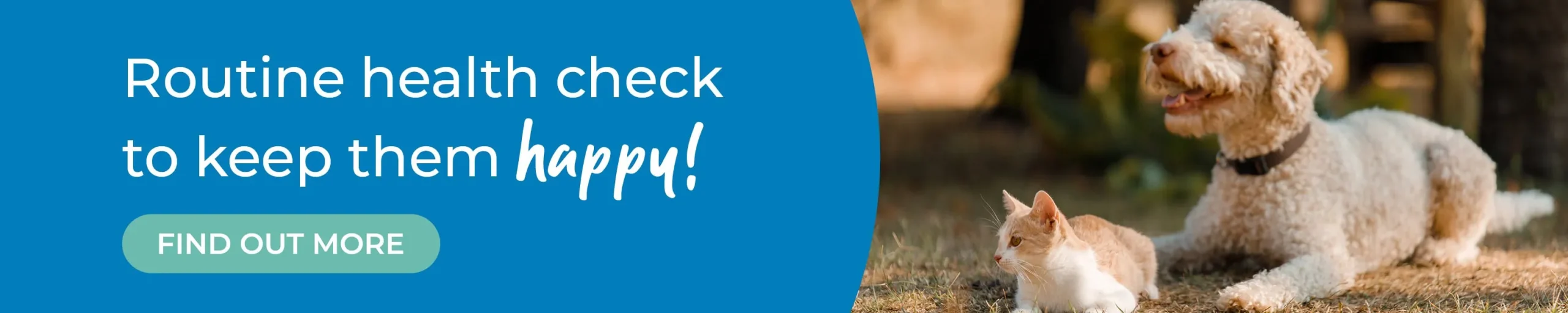 Routine Health Checks at Rutland & Kings Vets