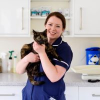 flea and worm treatment cats Flea And Worm Treatment For Cats