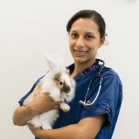 Rutland & Kings Vets Flea And Worm Treatment For Rabbits